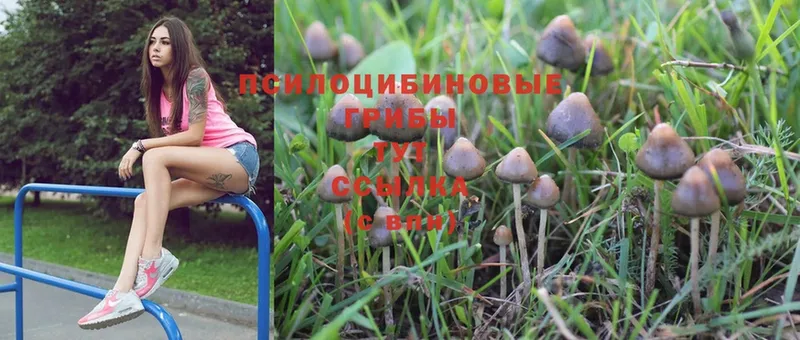 Галлюциногенные грибы MAGIC MUSHROOMS  мега ссылки  Семилуки 